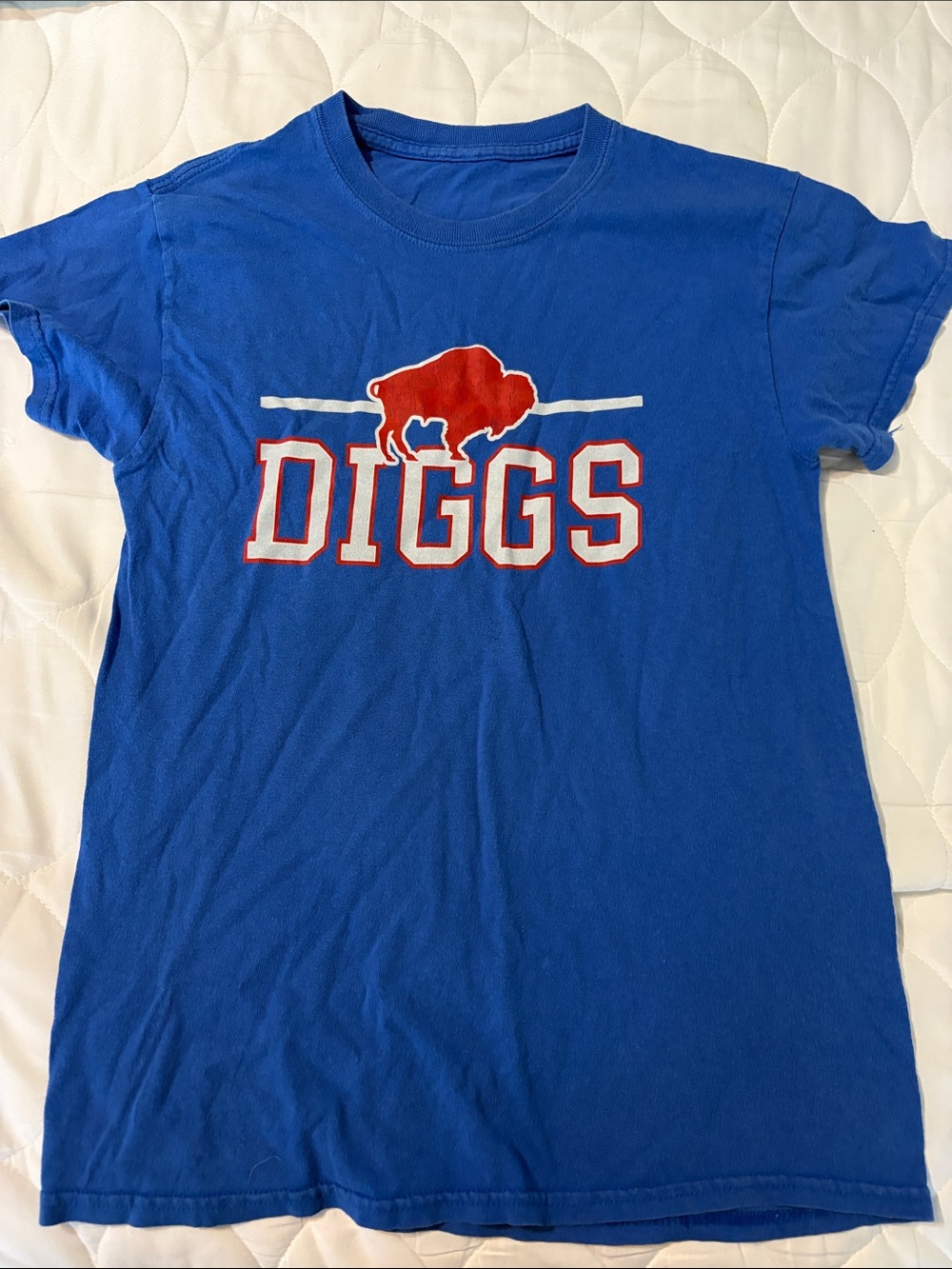 DIGGS Buffalo Graphic Tee in Royal Blue and Red